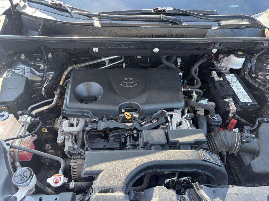 2019 Toyota RAV4 XLE Premium photo 10